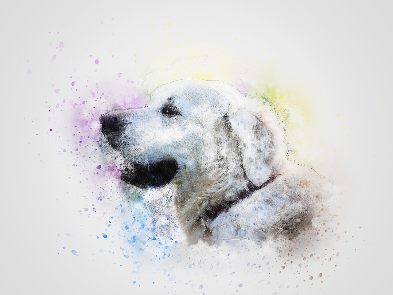Exploring The World Through Watercolor Painting